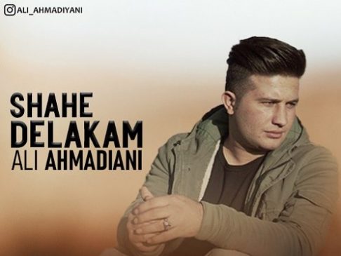 دانلود آهنگ شاه دلکم علی احمدیانی